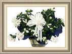 Frances’ Florist, 1244 Hull Rd, Athens, GA 30601, (706)_543-3819